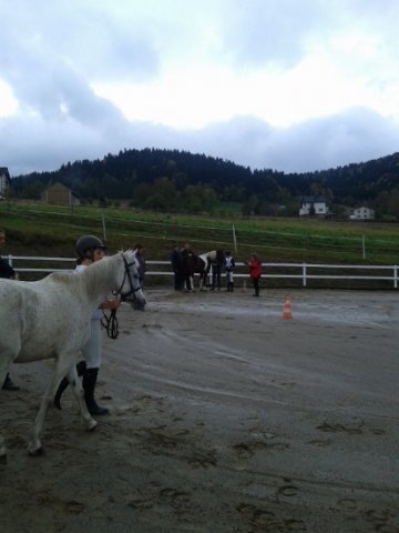 Kamionka 2015